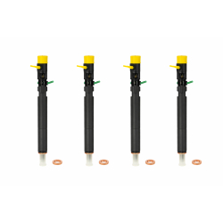 Injecteur RENAULT SCÉNIC 2  1.5 dCi 106 CV [05/2005 - 11/2008] Delphi (R01801A)