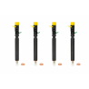 Injecteur NISSAN NOTE 1.5 dCi 86 CV [03/2006 - 06/2012] DELPHI (R05101D) - R05101D
