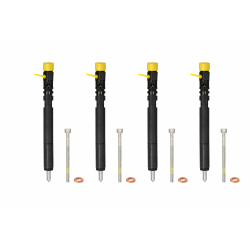 Injecteur MERCEDES-BENZ CLASSE C 204 136 cv [01/2007 - 12/2009] Delphi (R04201D)