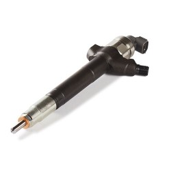 Injecteur JAGUAR X-TYPE 1 2.2 D 150 CV [10/2005 - 12/2009] DELPHI (EJBR00701D)