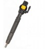 Injecteur PEUGEOT BOXER 3.0 HDi 145 146 CV [04/2010 - 12/2013] Bosch (0445116019) - 0445116019