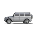Injecteur MERCEDES-BENZ CLASSE G (W461)