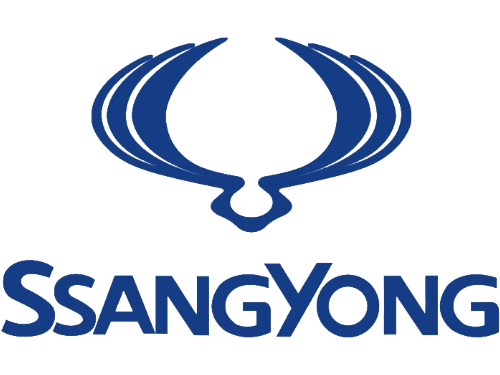 Injecteur SSANGYONG